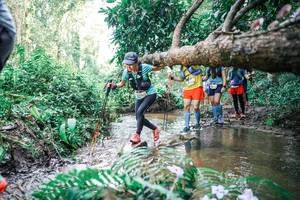 BIB: 
                            <button type="button" onclick="openModal(25475376)" class="btn btn-primary btn-sm float-right btn-popup" data-toggle="modal" data-target=".modal-high-quality">
                        <i class="fas fa-shopping-cart"></i> Add to Cart
                    </button>
                                            <button type="button" onclick="isThisMe(25475376, true)" class="btn btn-success btn-sm float-right btn-popup btn-isme hidden" data-toggle="tooltip" data-placement="bottom" title="นี่คือรูปของคุณใช่ไหม คลิกที่นี่เพื่อเอาเข้าอัลบั้ม">
                        <i class="fas fa-plus"></i> Add to album
                    </button>
                    <button type="button" onclick="isThisMe(25475376, false)" class="btn btn-warning btn-sm float-right btn-popup btn-isnotme hidden">
                        <i class="fas fa-ban"></i> Remove from album
                    </button>